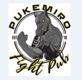 Pukemiro fight pub